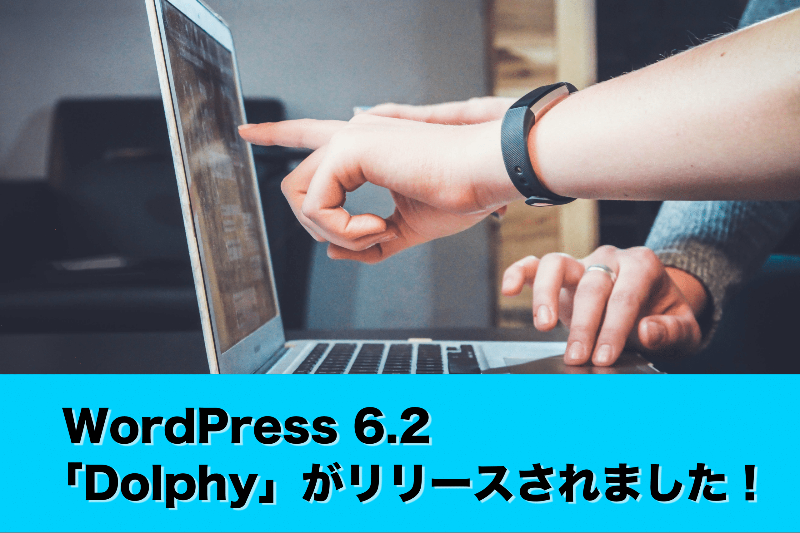 WordPress 6.2 “Dolphy”がリリースされました！